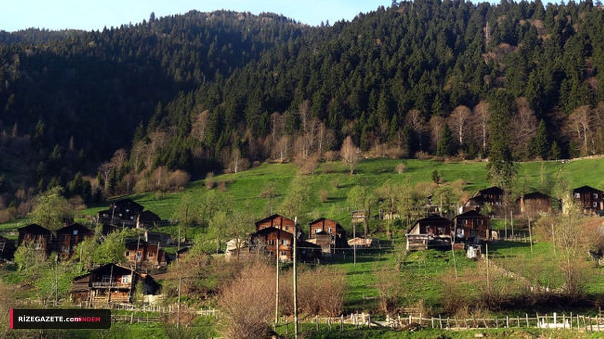 Rize'de Manzaraya Karşı Emekliliğin Keyfi: 9 Metrekarelik 'Gözetleme Kulesi' Ev Ziyaretçi Akınına Uğruyor