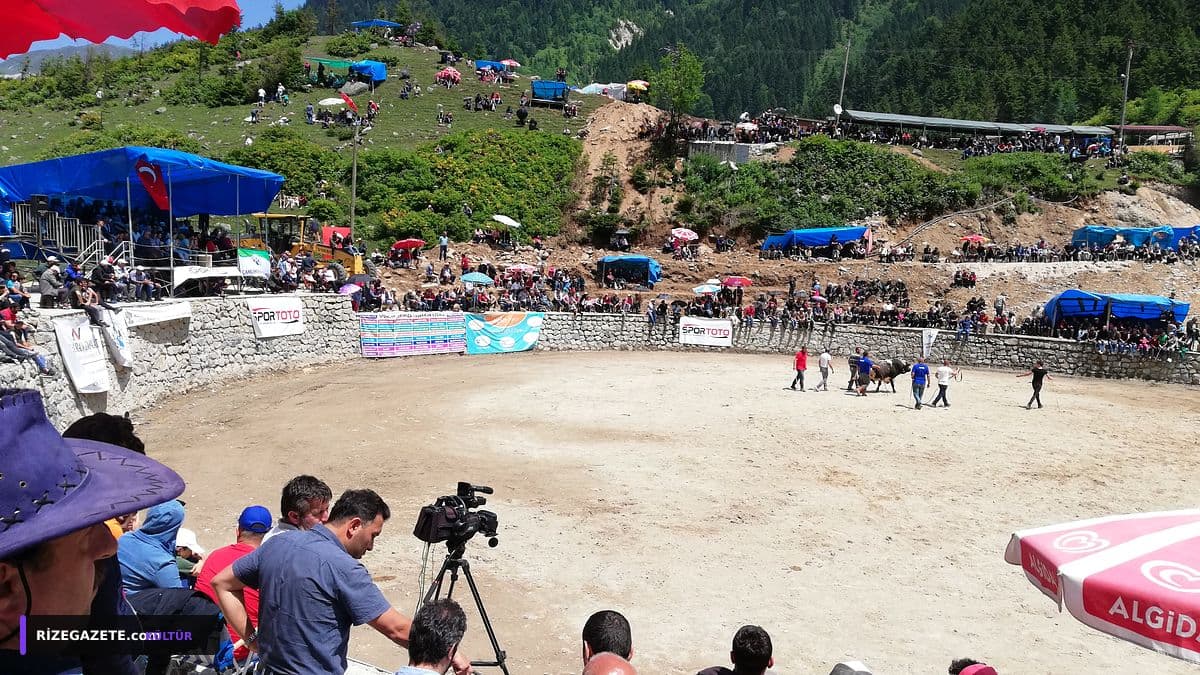 Ayder'de Geleneksel Boğa Güreşleri ile 30. Kültür, Sanat ve Doğa Festivali Başladı