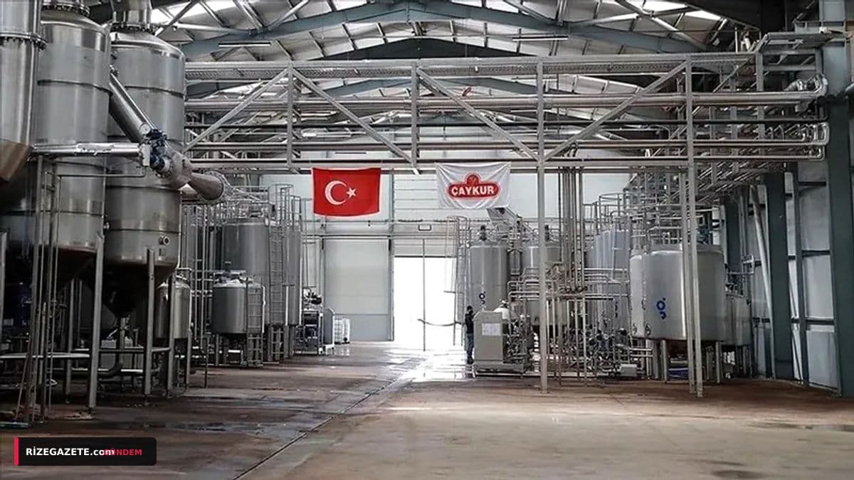ÇAYKUR İşçileri İçin Rize'den Yükselen Ses: Öz Gıda-İş'ten Net Mesaj – 'Hayat Birkaç Aya Sığdırılamaz!'