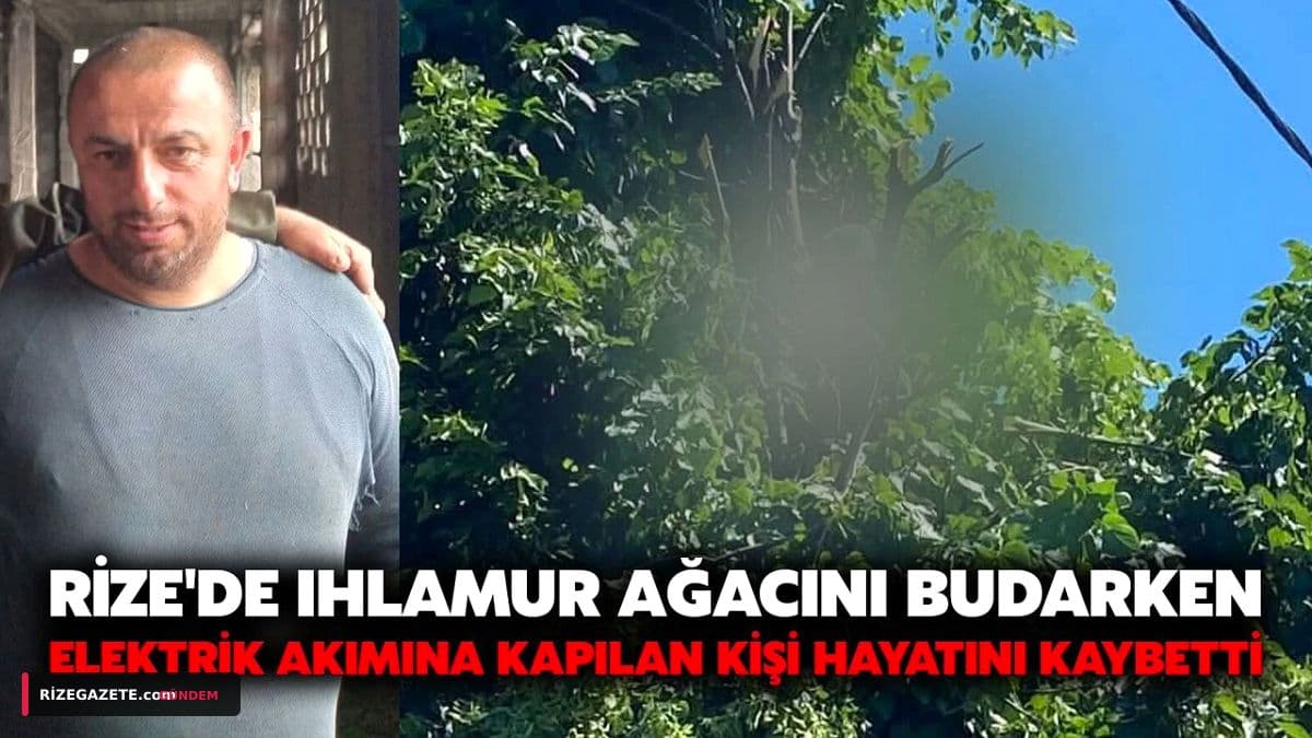 Rize'de Ihlamur Hasadı Faciası: 44 Yaşındaki Hasan Çataklı Elektrik Akımına Kapılarak Can Verdi