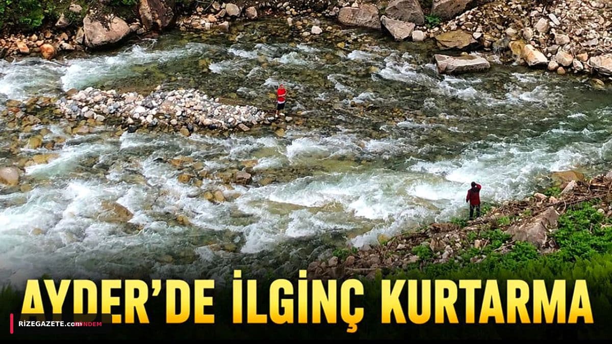 Rize Ayder Yaylası'nda Papağanını Kurtarmak İsteyen Turist Yaralandı: Film Sahnelerini Aratmayan Operasyon