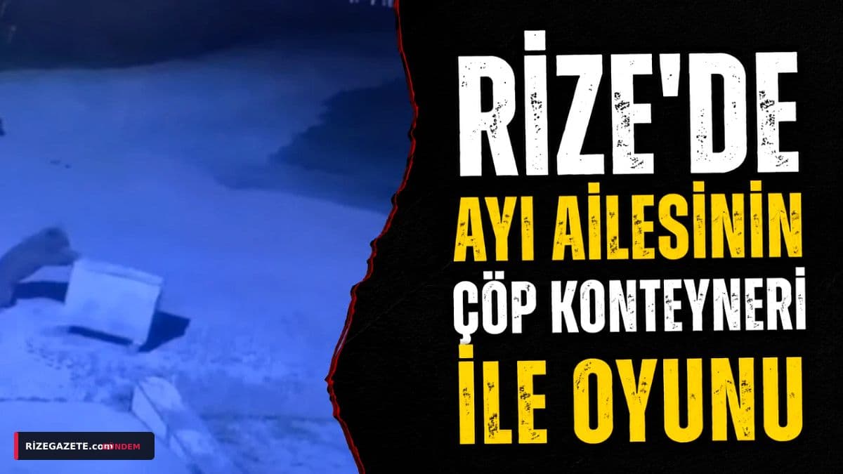 Rize'nin Çamlıhemşin'inde Gece Vakti Şaşırtan Misafirler: Ayı Ailesinin Çöp Konteyneriyle 'Oyun Saatleri' Kamerada!