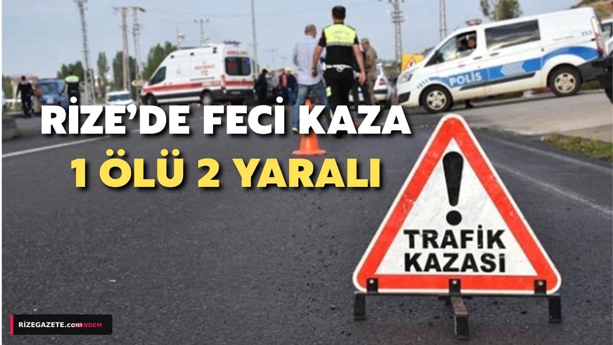 Rize Çayeli'nde Feci Kaza: Kamyonet Şarampole Devrildi, 1 Ölü 2 Yaralı