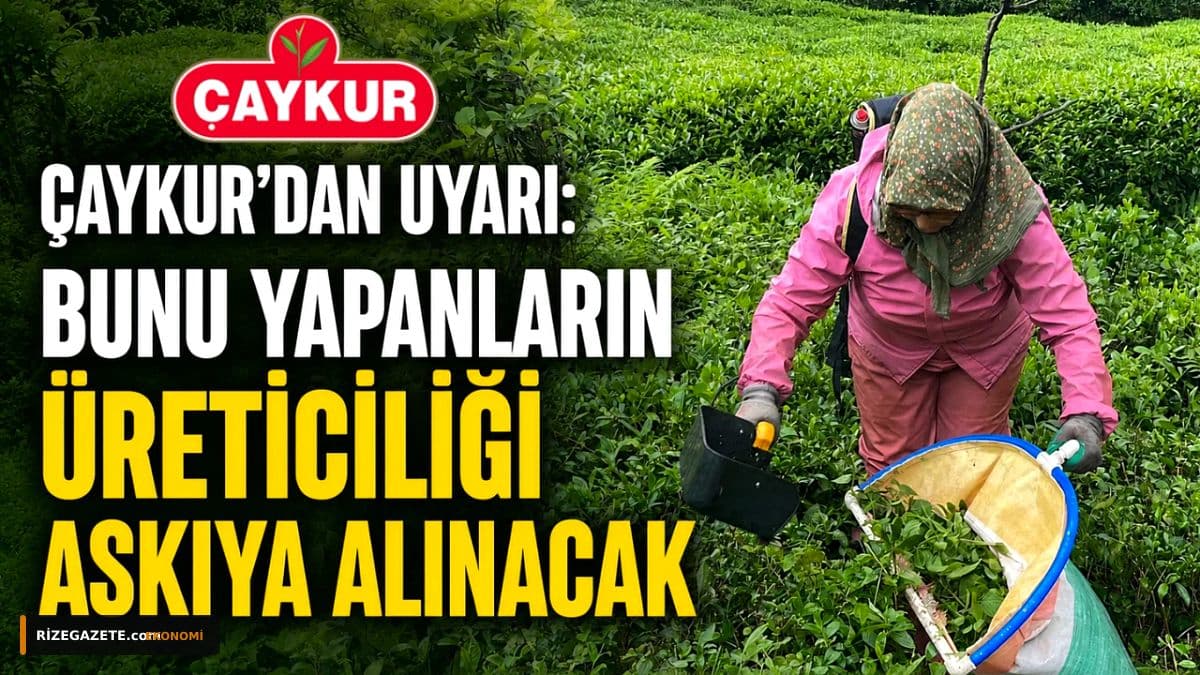 ÇAYKUR'dan Rize'deki Çay Üreticilerine Hayati Uyarı: Kimyasal İlaç Kullanana 'Üreticilik Askıya Alma' Cezası Geliyor!
