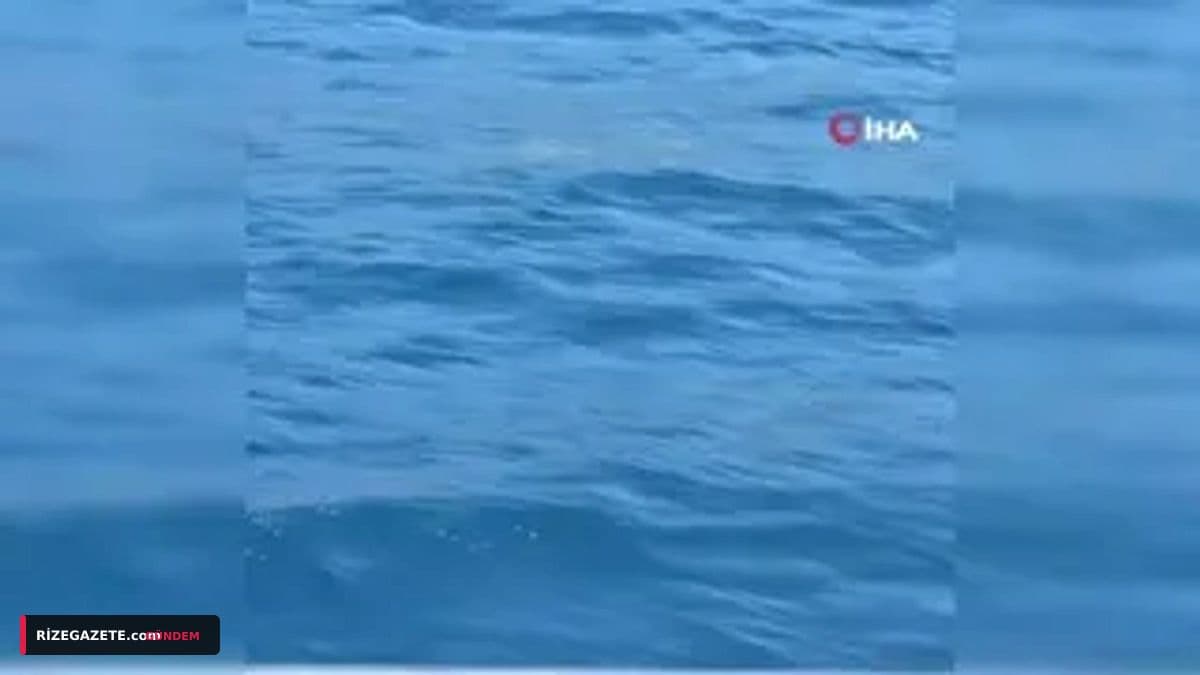 Rize Tarımını Tehdit Eden Amerikan Beyaz Kelebeği'ne Karşı Topyekûn Mücadele Başladı