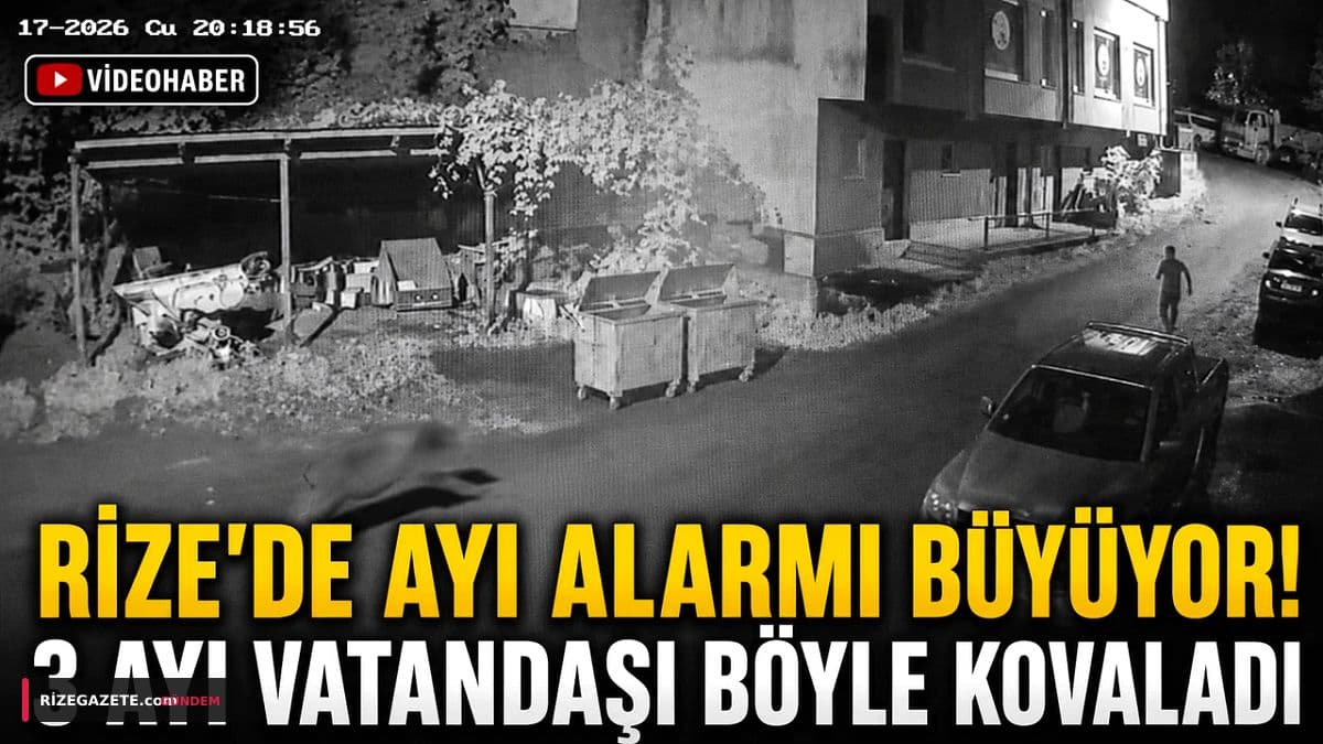 Rize Çamlıhemşin'de Ayı Dehşeti: Anne Ayı ve Yavrularından Nefes Kesen Kaçış Kamerada!
