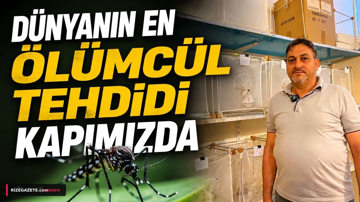 Rize Sahilleri Tehlikede: Asya Kaplan Sivrisineği Ölümcül Hastalıklarla Kapımızda!