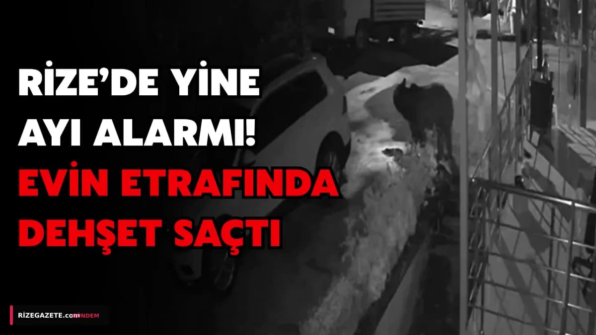 Rize Güneysu'da Ayı Dehşeti: Yaşar Usta'nın Kümesi Kan Gölüne Döndü, Köy Halkı Tedirgin!