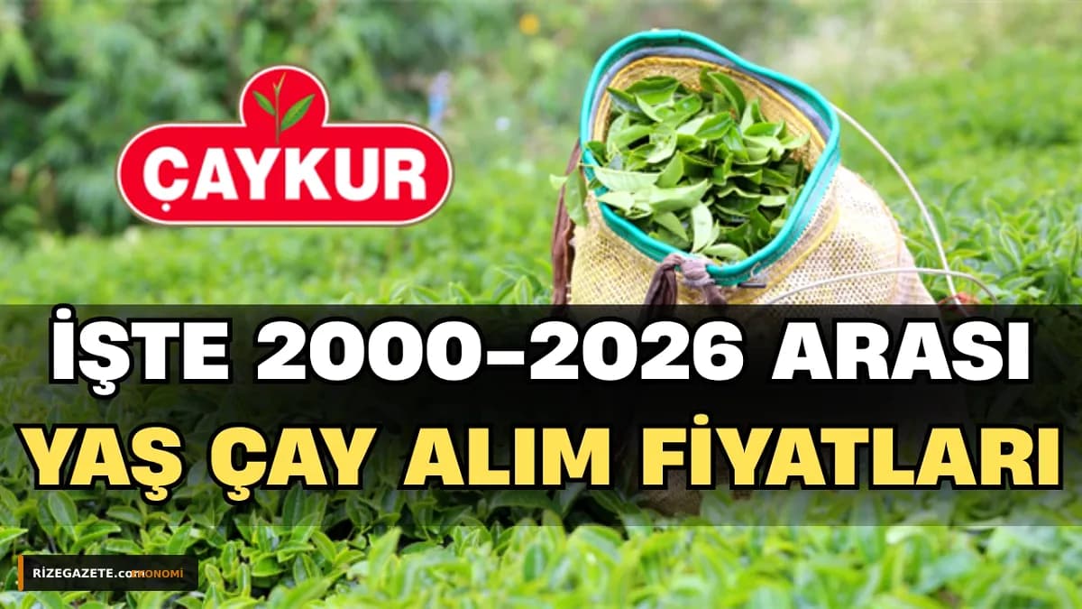 Rize'de Çay Üreticisinin 26 Yıllık Gelir Serüveni: Fiyatlar Yükseldi, Ancak Girdi Maliyetleri ve Belirsizlikler Gölgede Bıraktı
