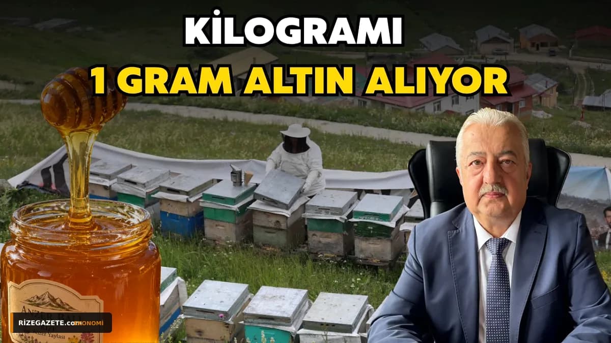 Anzer Balı'nda Rekolte Şoku: Kilogram Fiyatı 7 Bin TL'ye Yükseldi, Üreticiler Tedirgin