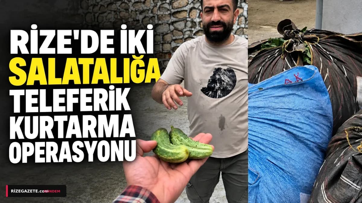 Rize'de İki Salatalık Karşılığı Hasat Kurtarıldı: Elektrikli Araç Teleferiğe Hayat Verdi