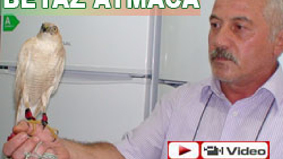 2. Atmaca Kültürü ve Nesiller Boyu Süren Avcılık Sanatı