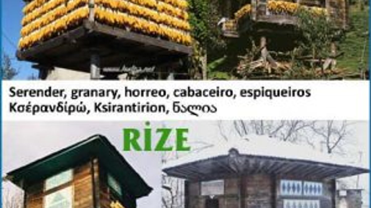 5. Lazut (Mısır) Kurutma ve Serender Kültürü: Kışlık Erzakın Güvencesi