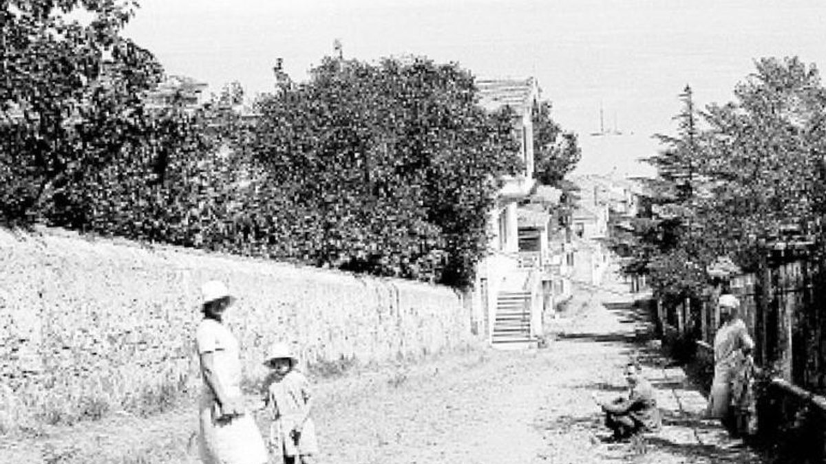 2. Çay Tarımına Halkın İlk Direnişi: Rize'nin 'Acı' Mirası Nasıl Tatlandı?