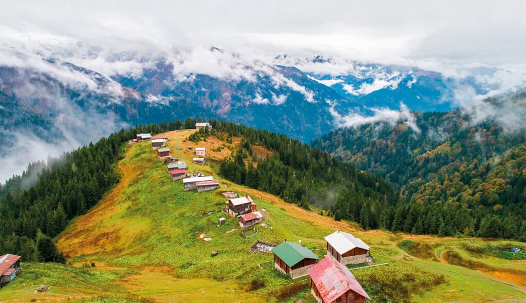 Rize'de Çay Toplama Kültürü ve Sosyal Yaşama Etkileri
