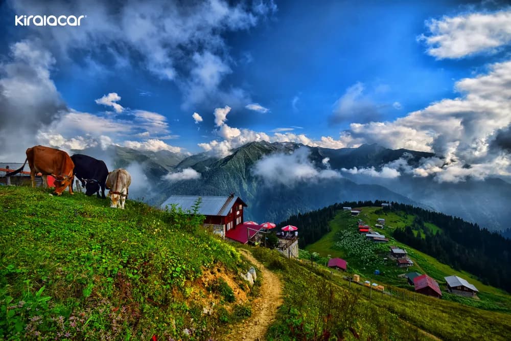 Karadeniz Aile Yaşamı: Samimi Komşuluk ve Gelenekler