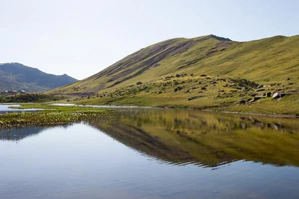 Yayla Göçü Geleneği Rize'de Coşkuyla Devam Ediyor