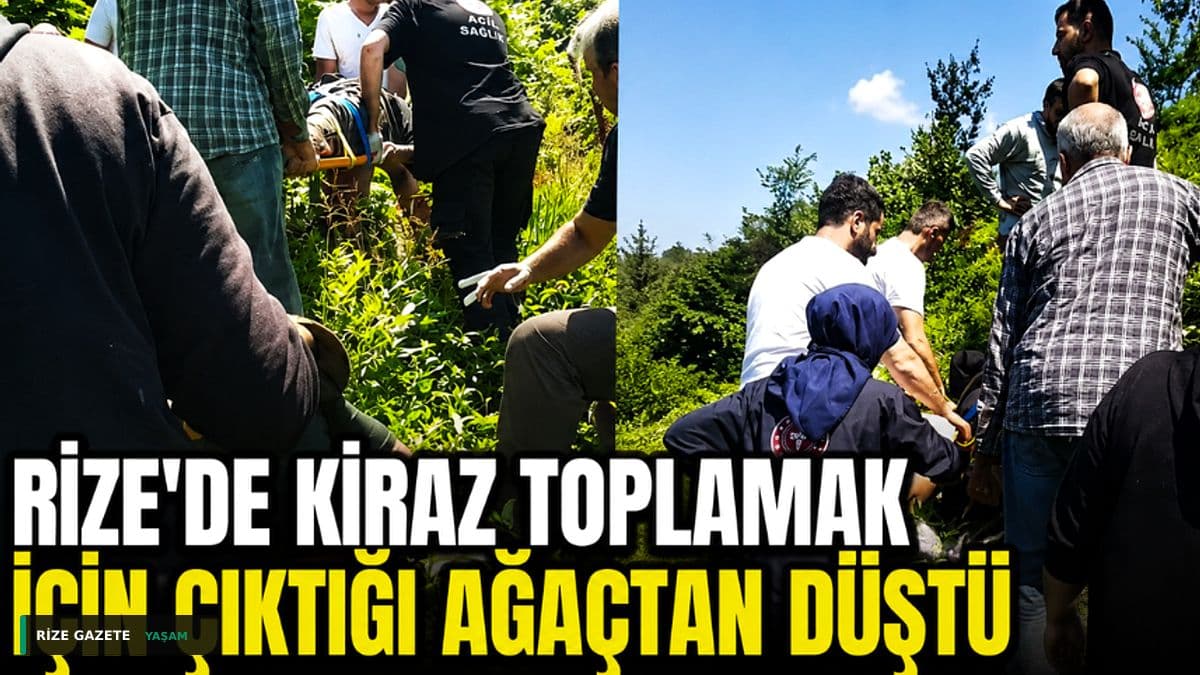 Rize’de Kiraz Hasadı Kabusa Döndü: 10 Metreden Yere Çakıldı