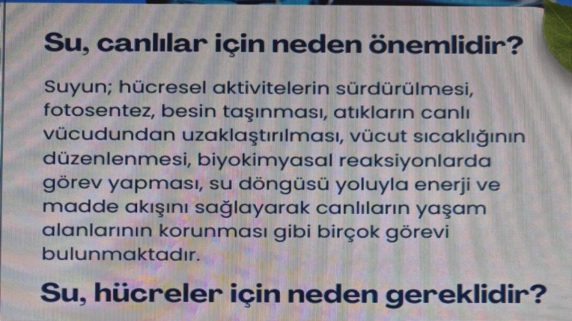 Ardeşen Fırtına Vadisi Turizm İşletmeleri Gelir Analizi